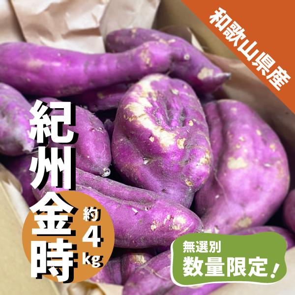 ※ただいま大きめの3Lサイズとなり、１本あたり500g〜800g程度となります。和歌山県産の金時芋「紀州金時」です。無選別のためさまざまな形となります。・焼き芋・干し芋・蒸かし芋・芋の天ぷら・スイートポテトなど、ご家庭用でお楽しみくださいま...