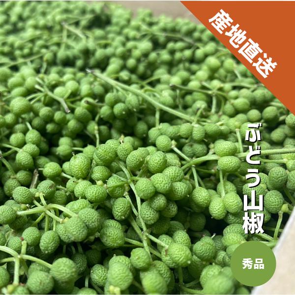 ぶどう山椒 500g 和歌山県産 生山椒 実山椒 有田産 国産 山椒 さん