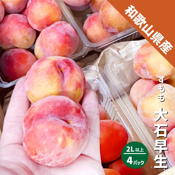 和歌山県産 すもも 大石早生 約2kg (約500g×4パック ) 2Lサイズ以上
