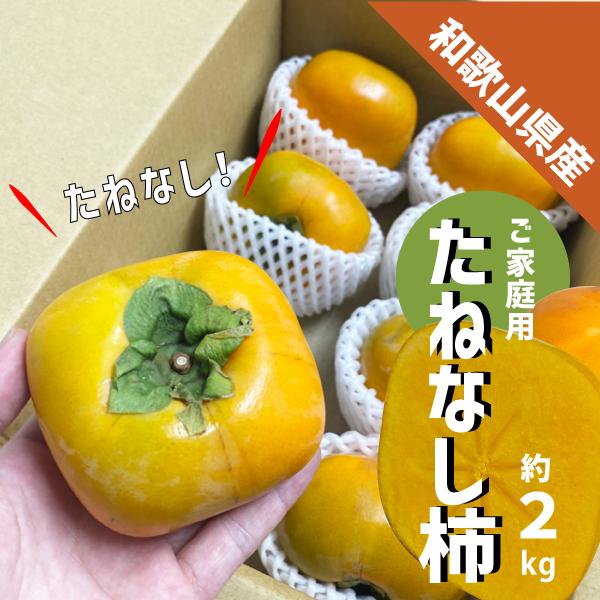 柿 たねなし 約2kg (8〜10玉) 和歌山県産 ご家庭用 刀根 平核無