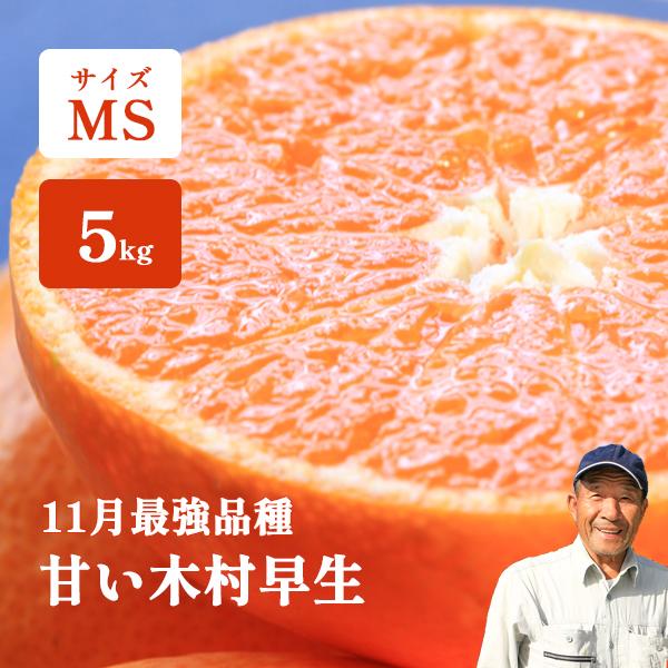 みかん 5kg 高糖度 甘い Ms玉 木村早生 和歌山 マルチ被覆栽培 箱買い 田組さんの濃いミカン 紀南みかん 送料無料 Mikan Kimura T 5k 和歌の屋 通販 Yahoo ショッピング