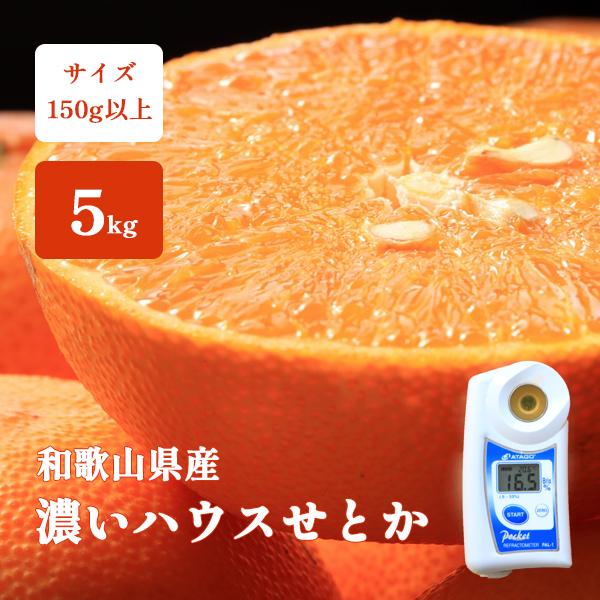 濃いハウスせとか みかん 5kg 高糖度 甘い 温室栽培 サイズ無選別 紀南 和歌山 箱買い 産直 送料無料 Mikan Setoka Kishu Wakayama Sanchichokuso Amai 5k 和歌の屋 通販 Yahoo ショッピング