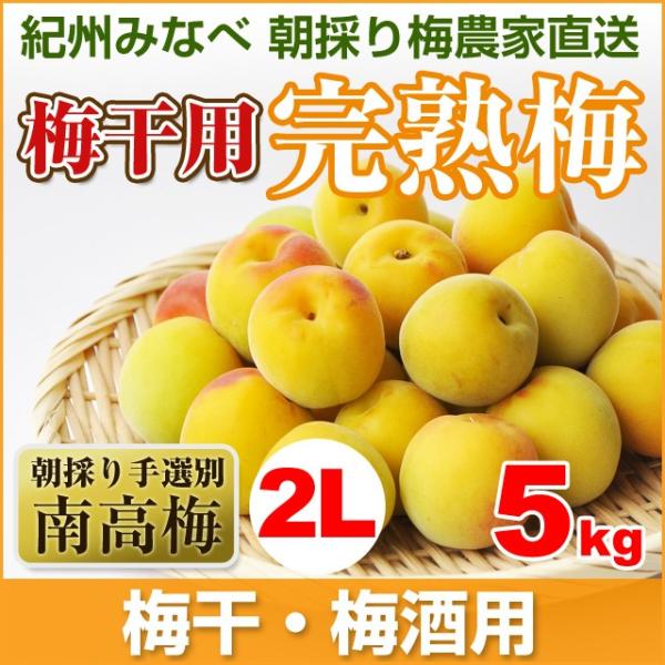 完熟梅 梅干用 梅酒用 南高梅5kg 2l 和歌山県みなべ産 Buyee Buyee 提供一站式最全面最專業現地yahoo Japan拍賣代bid代拍代購服務