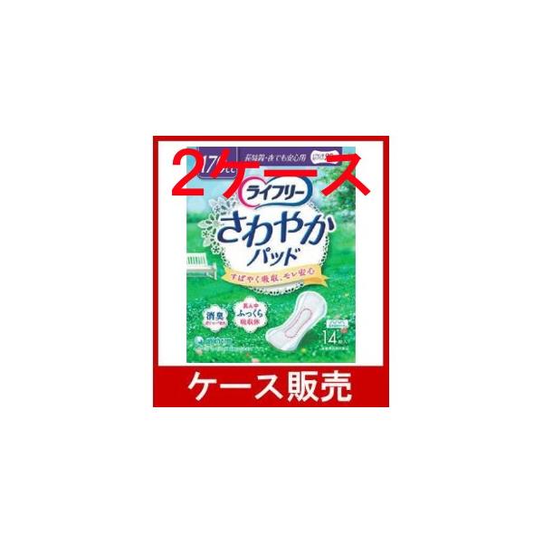 iP[X̔j@uCt[@₩pbh@ԁEłSp   PSv@QS̋l