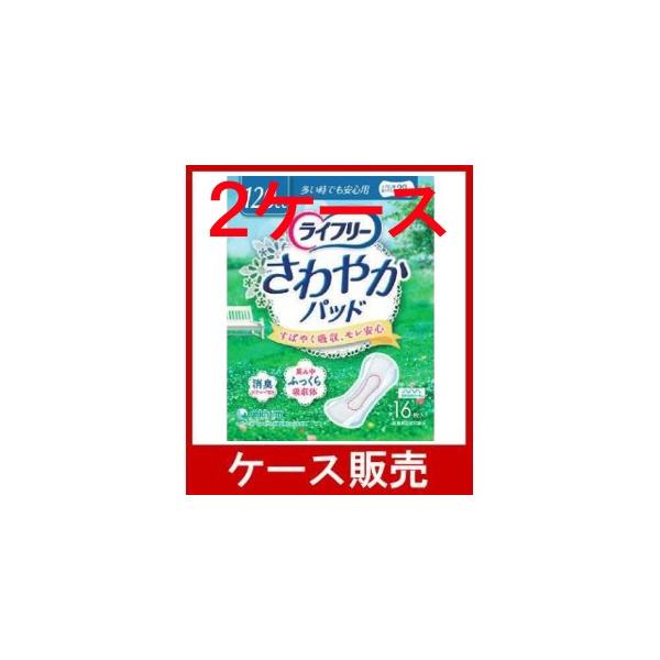 iP[X̔j@uCt[@₩pbh@łSp  PUv@QS̋l