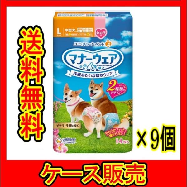 i܂Ƃߔ̔j@uj`[ }i[EFA ̎qp LTCY sNE{ 14v@9̋l