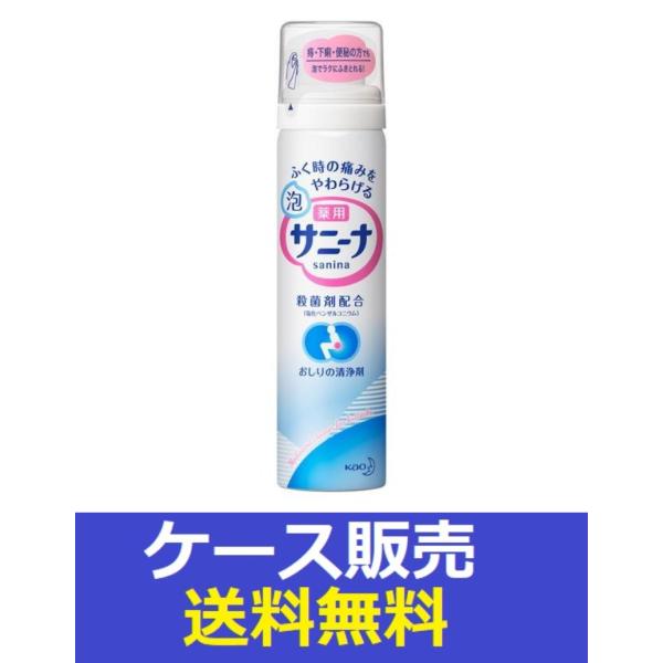 （1ケース販売）「薬用　泡サニーナ　70ｇ」　48個の詰合せ