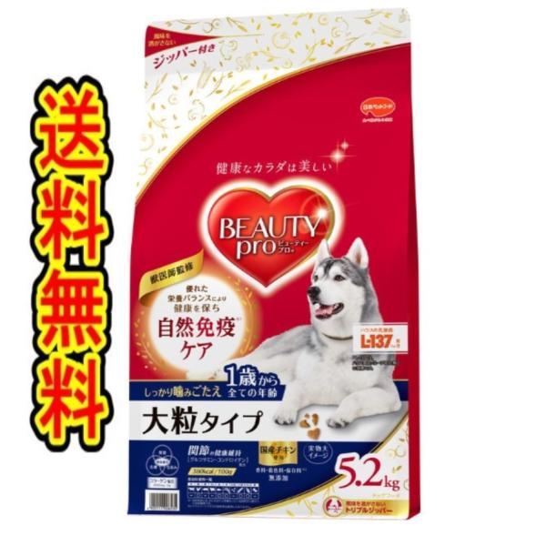 他サイト： 日本ペットフード ビューティープロ 1歳から 大粒 チキン 成犬用 5.2kgの商品画像