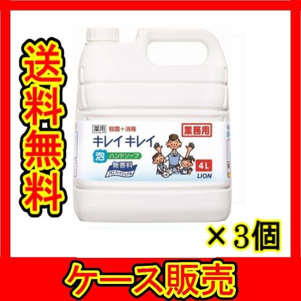 iP[X̔j@uƖp@LCLCpAnh\[v@@Skv@3̋l