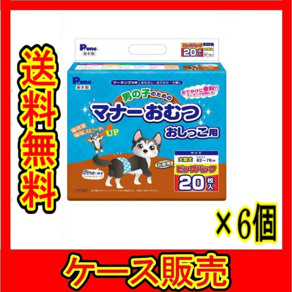 wakeari_case4904601763790