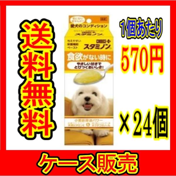 iP[X̔j@uA[XEybg@`CXvX@X^~m@H~ȂƂɁ@40v@24̋l