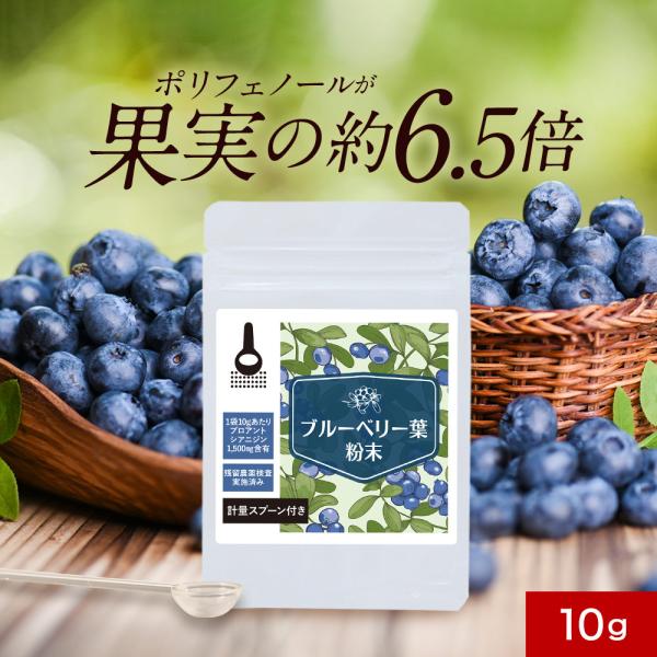 ポイントアップ ブルーベリー葉 粉末 10g 送料無料 宮崎県産 無農薬