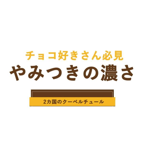 訳あり食品 わけあり スイーツ グルメ チョコブラウニー 1kg 洋菓子 焼き菓子 おやつ 宅配便b Tsg Buyee Buyee 提供一站式最全面最專業現地yahoo Japan拍賣代bid代拍代購服務 Bot Online