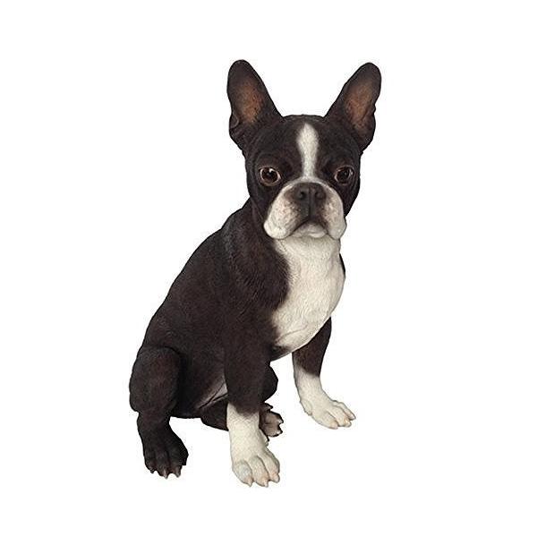 ボストンテリア（Boston Terrier） 犬の置物・オブジェ