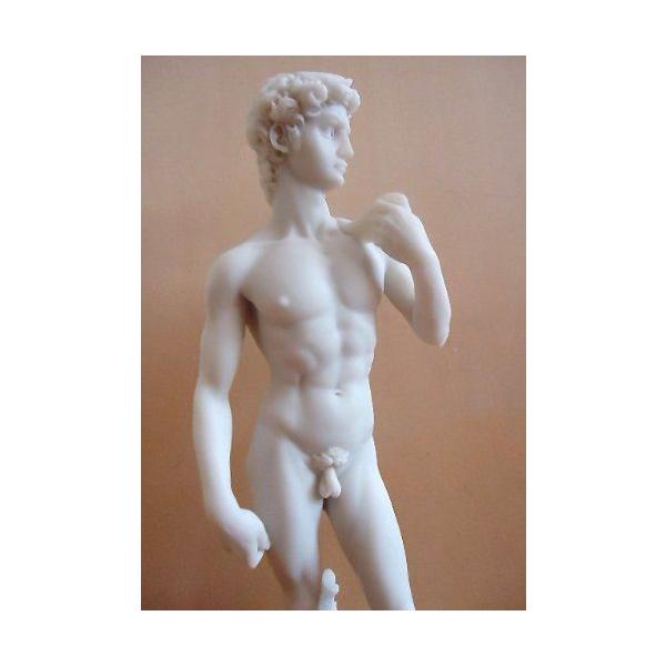 Michelangelo's David Nude Collectible Statue Figurine H: 12.5ミケランジェロのダビデ像ヌードコレク