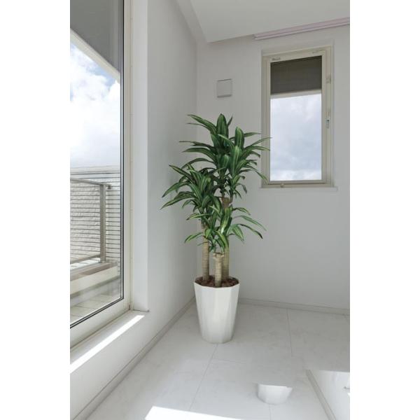 ̊y K̖1.6 400P350 A[gO[ lHϗtA G}