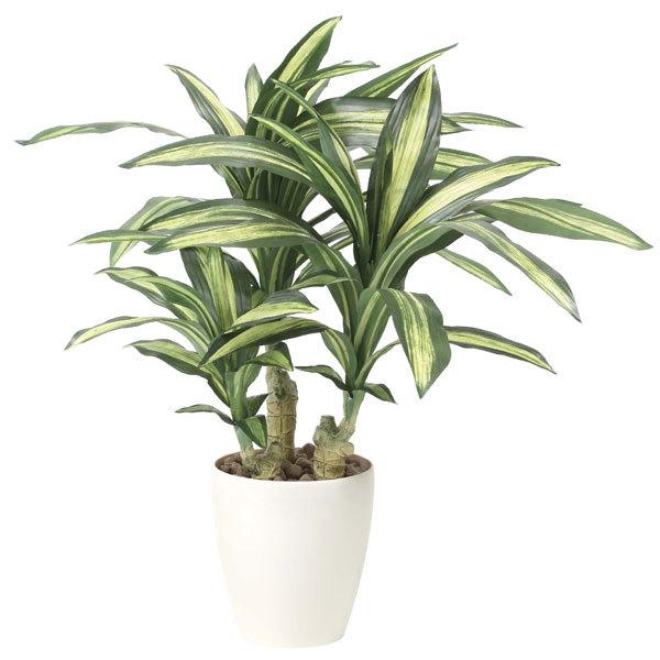 ̊y K̖ 829K135 A[gO[ lHϗtA G}