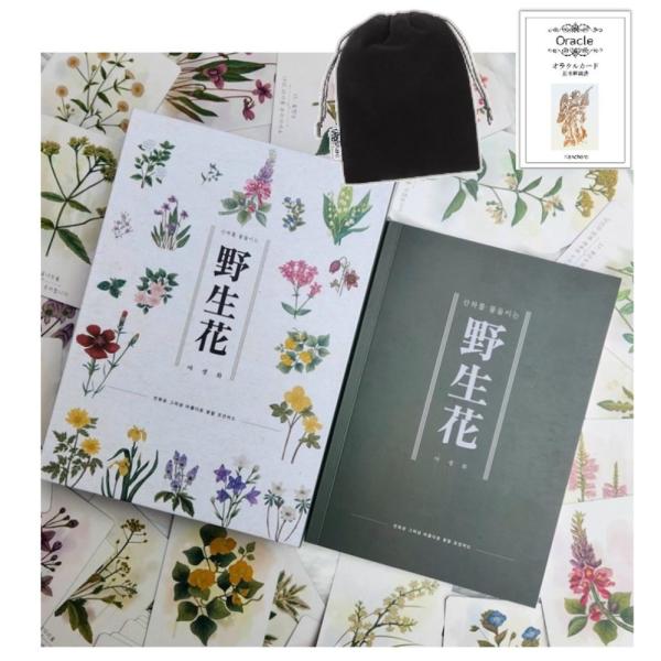 野生花　解語花　韓国語　オラクルカード 61B9KmdsbsL._AC_SY200_QL15_.jpg