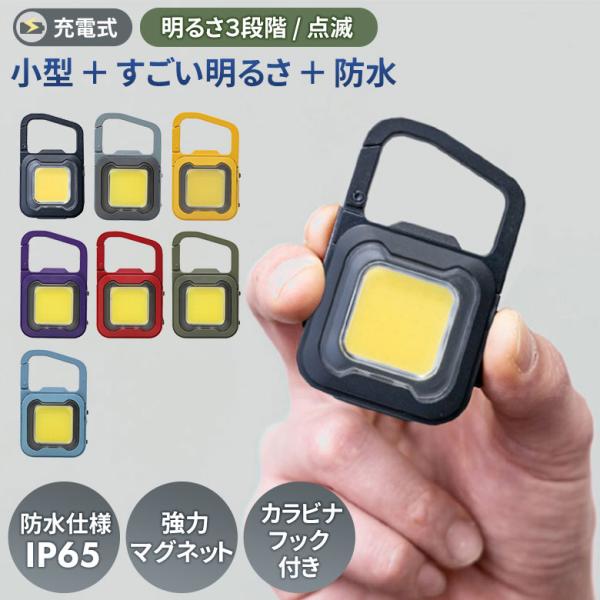 ムサシ 充電式スーパーフラッシュライト 6W USB充電 コンパクト 携帯 小型 アウトドア キャンプ 作業灯 カラビナ メール便
