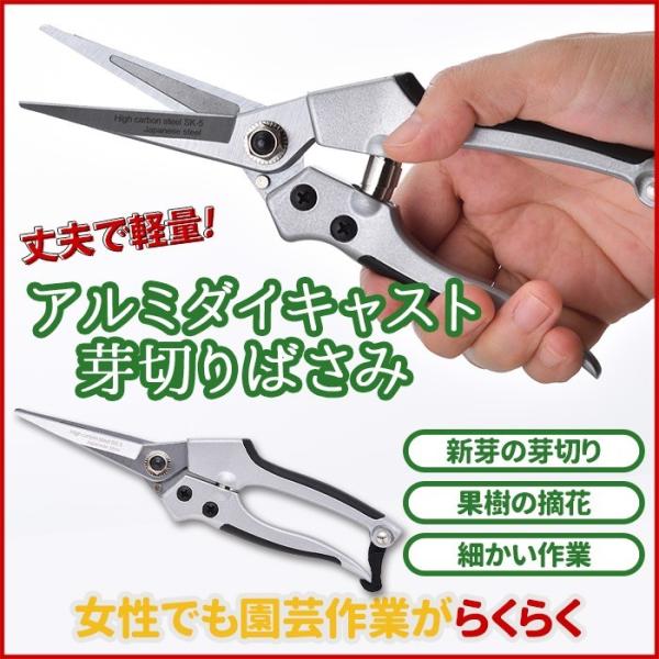 A~_CLXg  K[f DIY K[fjO p H ͂ ͂ ΂ K[fjOpi [