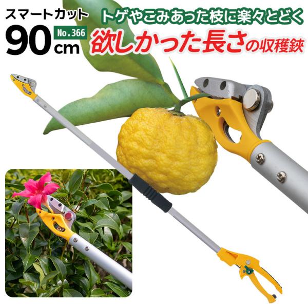 }؂oT~ } TV X}[gJbg90cm 366 }؂΂ ΂ }؂ y