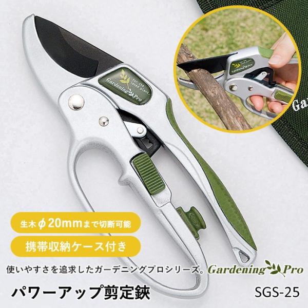 K[fjO p[AbviSGS-25j  ΂ | |pi K[fjOpi } nT~ pY