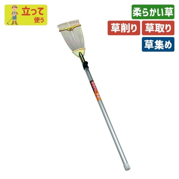 L N  K[fjO Lk ʕt~jK[fN[i[iA~pCvj z[ yN  | _ _ n ؍H