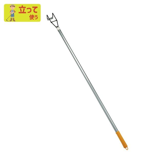 L N  K[fjO l\ V؂ rTCY yȂ炵 yN  | _ _ n ؍H