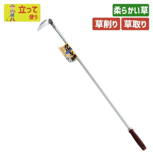 L N  K[fjO J|CiA~pCvj z[  yȂ炵 yN  | _ _ n ؍H