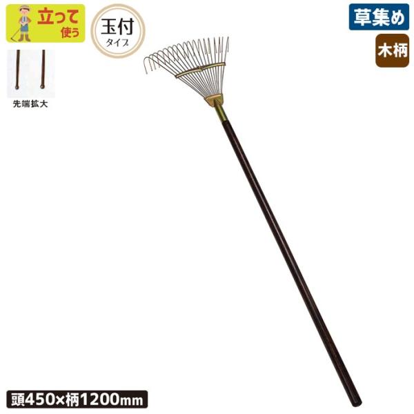 [L F ؕʕtK[fN[i[ihj _ p H  t W  ؍H