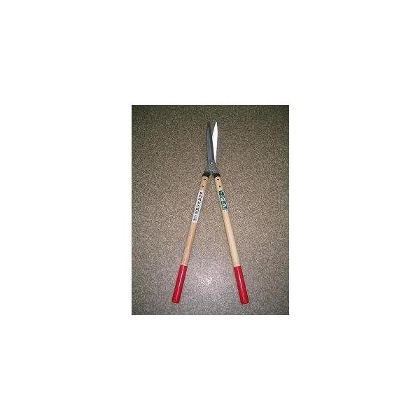 荞  B-15 p |T ˂̂ ܏\nH | K[fjO  ͂