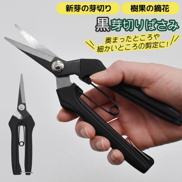 黒芽切鋏 芽切りばさみ 芽切ばさみ 芽切鋏 芽切バサミ 剪定ばさみ 剪定バサミ 園芸鋏 園芸用はさみ ガーデニング用品 園芸用品 女性用 軽い 摘花 メール便