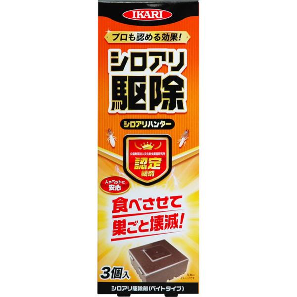 CJ VAn^[ 3 CJ h 悯  AEghA O O | K[fjO Q΍  