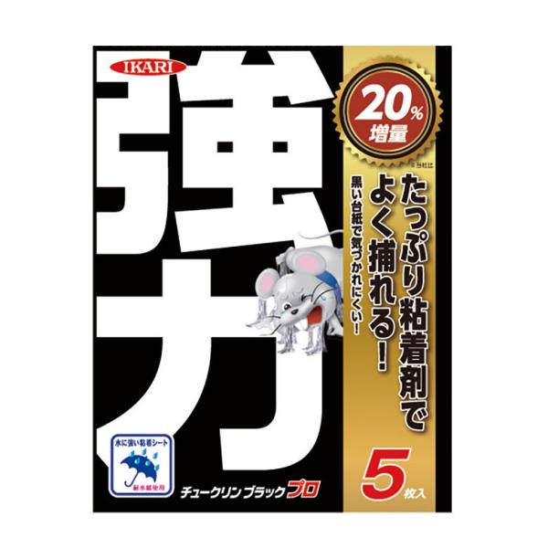 CJ `[NubNv 5 CJ h  ˂ lY~ l O O AEghA | K[fjO Q΍ Qb΍  