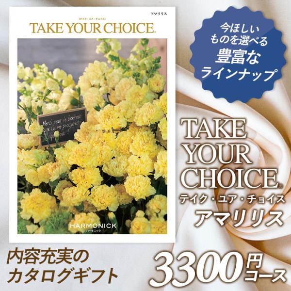 J^OMtg ueCNEAE`CXv 3,300~R[X hV̓ oYj j TԂ j o Ԃ j O n[jbN