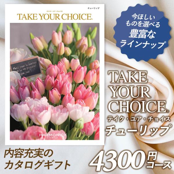 J^OMtg ueCNEAE`CXv 4,300~R[X hV̓ oYj j TԂ j o Ԃ j O n[jbN