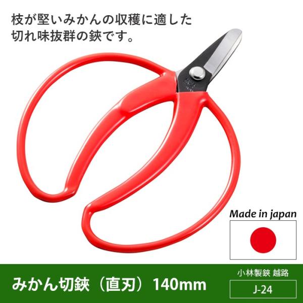 ΂ K[fjO ݂(njiJ-24j zH | nT~ 뉀 y n _ O ѐ