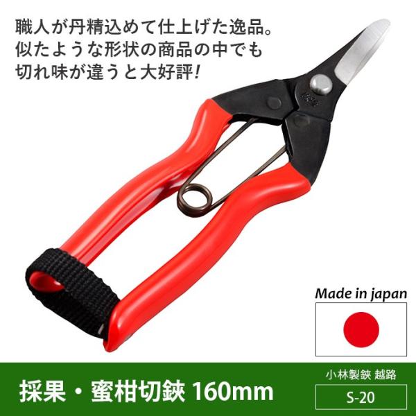 ΂ K[fjO ̉ʁE 160mmiS-20j zH | nT~ 뉀 y n _ O ѐ