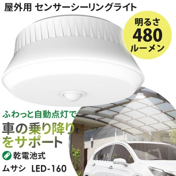 センサーライト 新商品 ムサシ RITEX 屋外用センサーシーリングライト（LED-160） 乾電池式 屋外 人感センサー 玄関 ガレージ 防犯ライト 照明