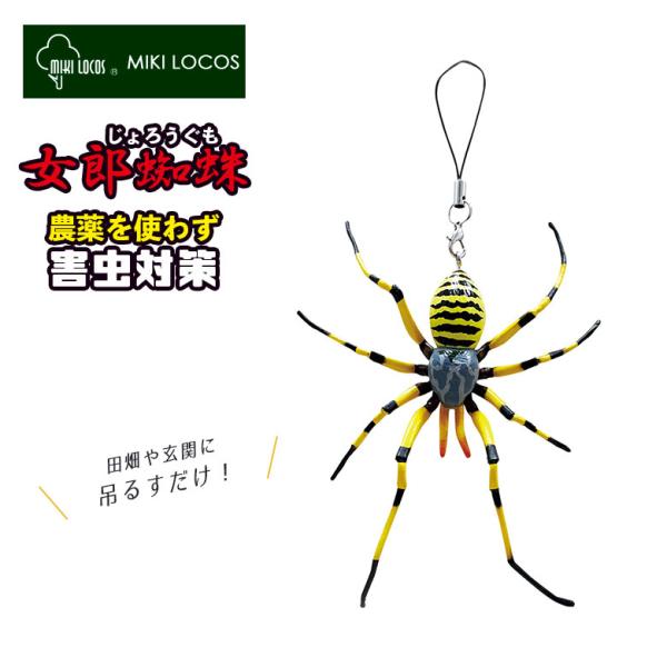 女郎蜘蛛 除労蜘蛛 M-46 害虫 田んぼ 畑 玄関 倉庫 ビニール