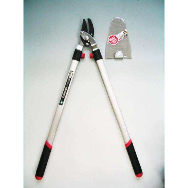 荞  OM-600 N } |T ˂̂ ܏\nH | K[fjO  }؂ ͂