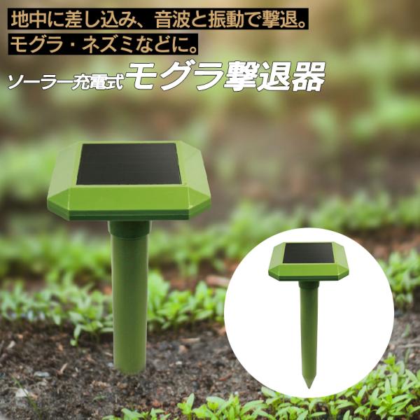 \[[[d Oފ SLI-MGD316 猂ފ \[[ g Qb΍ Qb΍u Qb΍ K[fjO _ TCGC^[iVi