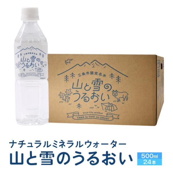 【山と雪のうるおい500ml×24本】 ナチュラル ミネラルウォーター 新潟県三条市認定名水 500ml 飲料水 水 送料無料 新潟県三条市