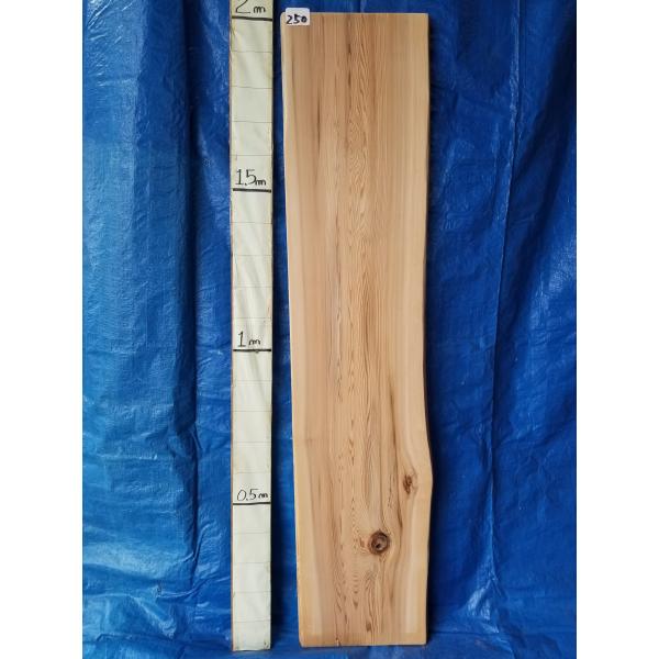 天然杉一枚板 39 NO9 杉（スギ）一枚板 ｜一枚板