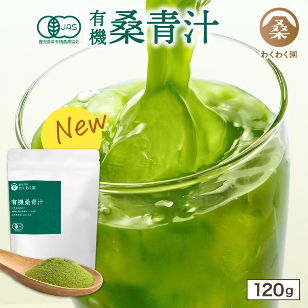 有機桑青汁 120g 九州産 有機 オーガニック パウダー 粉末 桑の葉 桑の葉青汁 桑抹茶 国産