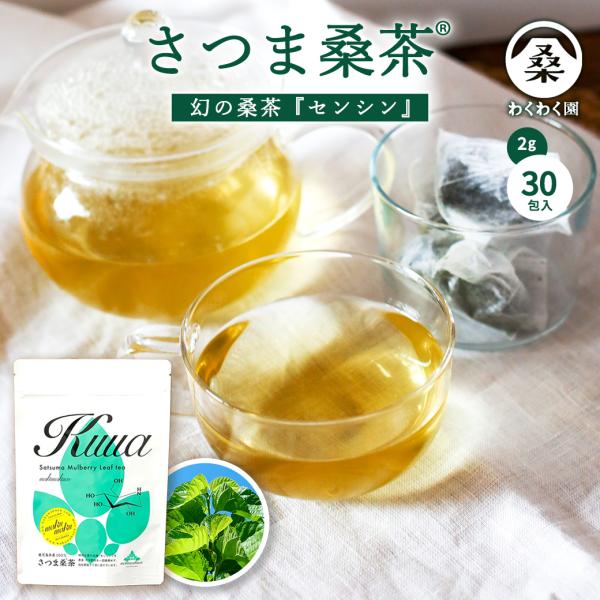 さつま桑茶 30包 桑の葉茶 ティーバッグ 桑のは茶 ノンカフェイン 国産 桑茶 お茶 健康 わくわく園