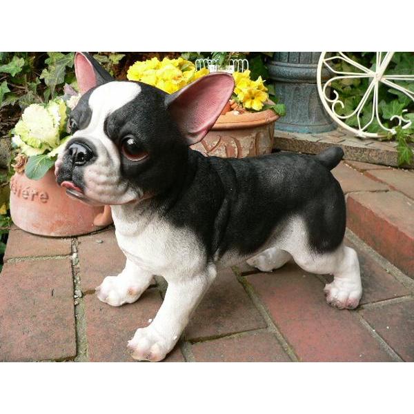 犬の置物 フレンチブルドック おまけ付 いぬ イヌ 動物 ９４０９ｈ ガーデン ガーデニング オブジェ オーナメント 雑貨 インテリア 陶器 置物 ア わくわくガーデン 通販 Yahoo ショッピング