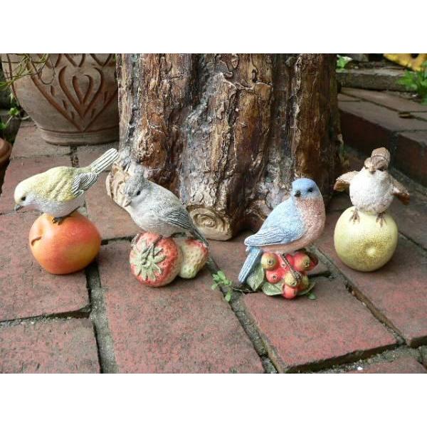 H☆ 鳥　とり　鳥さん　小鳥　バード　置物　セット 小鳥の置物 森の仲間たち フルーツバード 4羽セット とり トリ