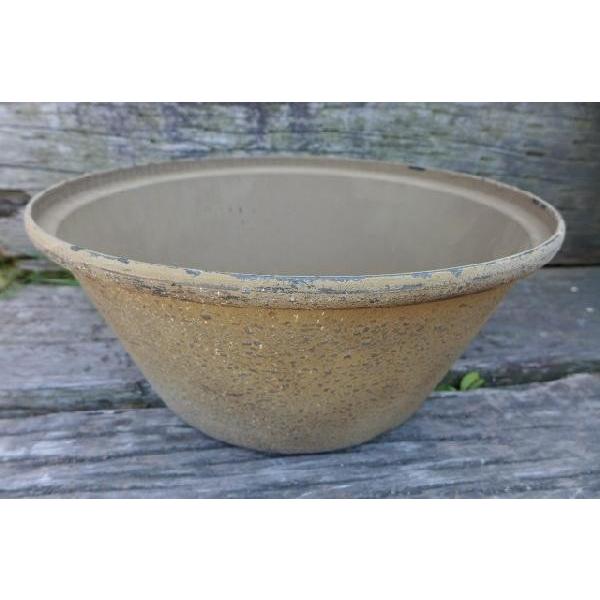 yʁ@eRb^@ĂȔ@eB[\vV[gaq@`ROP@K[f@Aؔ@픫@K[fjO@Ԓd@@vX`bN