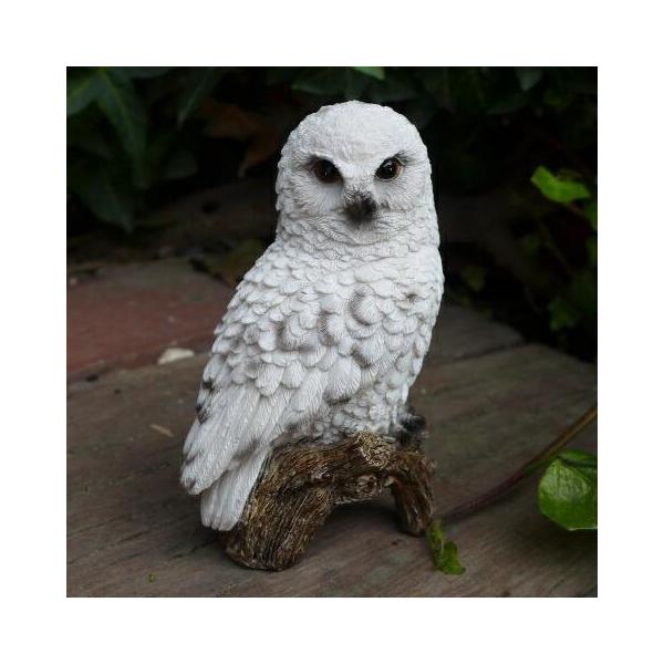 フクロウの置物 白 ふくろう N12877 鳥 とり 動物 フクロウの置物 白 ふくろう N12877 鳥 とり 動物